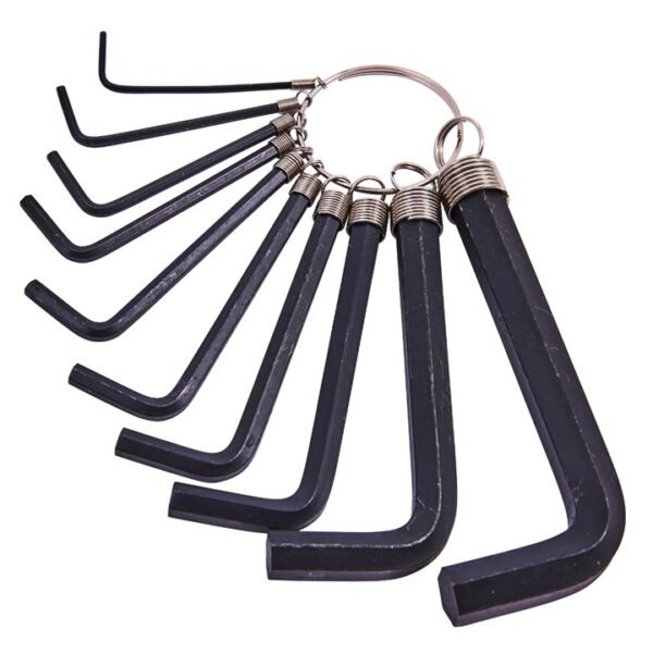Amtech 10 Piece hex key set and keyring